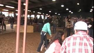 Brianna Coleman: East Central 2014 East Central FFA Live Stock Show