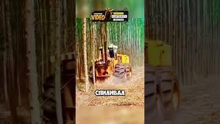ЖЕСТЬ! ВЫРУБКА В СИБИРИ С НОВОЙ ТЕХНИКОЙ 