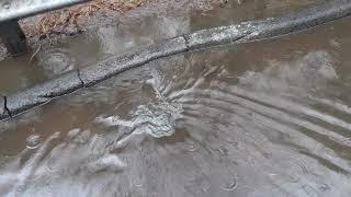 Draining a Flooded Street