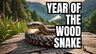 Chinese Astrology 2025: Year of the Wood Snake Horoscope and Predictions