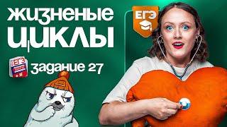 Жизненные циклы. Задание №27 | ЕГЭ-2025 по биологии