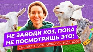 Решили купить хорошую дойную козу, но не знаете где и как выбрать? Тебе сюда! | Ошибки козоводов