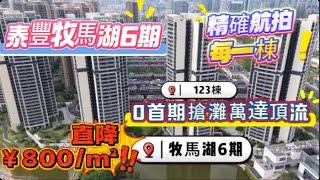 【直擊降價現場】連續3年銷冠牧馬湖6期直降800！｜稀缺湖景109方4房航拍戶型全解析！｜週末賣咗幾多套？乜樓棟朝向性價比最高？｜0首期抄底時刻！ #大亞灣 #牧馬湖 #萬達廣場