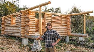 One Year Alone Building a Log Cabin in the Off Grid Bush