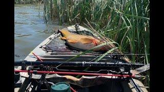 Bowfishing From Kayak with Recurve- PreSpawning