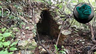Mayan Site No. 313. Dzancab, Campeche, Mexico