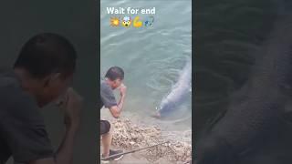 Monster fish!#shorts #youtubeshorts #shortfeed #fishing