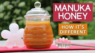 Manuka Honey Benefits - The Superfood from New Zealand