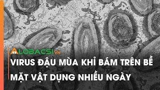 Virus đậu mùa khỉ bám trên bề mặt vật dụng nhiều ngày