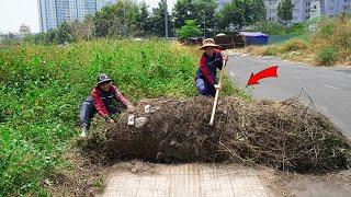 Clearing a GIANT Roll of Weeds - Neighbors Were SHOCKED to See the Sidewalk BURIED for YEARS!