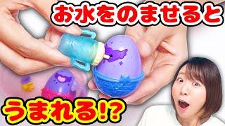 なんでこれ産まれるの!? お水でパリッ！ニョキッ！と生まれてくる卵のサプライズトイがすごかった！！【海外】