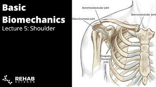 Biomechanics Lecture 5: Shoulder Complex