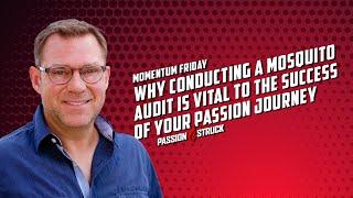 Why the Mosquito Principle is Vital to Your Success | John R. Miles | Passion Struck Podcast