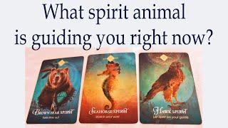 Pick a card ~ What spirit animal is guiding you?  What messages do they have for you? 