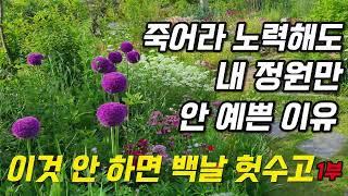 죽어라 노력해도 내 정원만 안 예쁜이유 1부, 이 것 안하면 백날 헛수고, 정원관리꿀팁