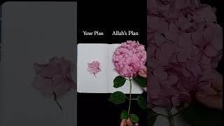 Your Plan/ Allah's Plan... Towards Eternity #shorts