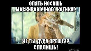 Мои находки - Маскировочный котик