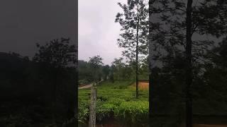 Highway side land for sale in Vagamon | #shorts #short