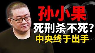 云南头号恶霸孙小果 死刑又复活 牙签插乳震动中央！《扫黑除恶——为了国泰民安》