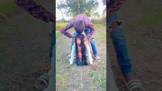 Nandlal #Chauhan #short# viral# video