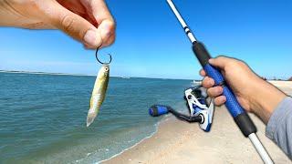 Fishing w/ MUD MINNOWS off the BEACH!! (Saltwater Fishing)