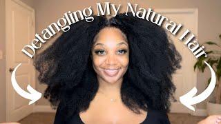 DETANGLING NATURAL HAIR | NO BREAKAGE | HOW TO RETAIN LENGTH FOR MAXIMUM HAIR GROWTH