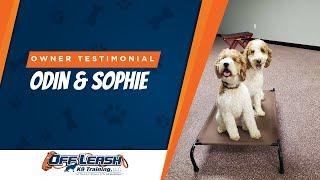 Transforming Lives: Blind Dog Sophie & Odin's Journey with Off Leash K9 Training