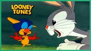 Bugs Bunny-Falling Hare Looney Tunes 1943