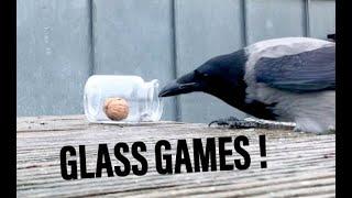 Wild Crow Playing Jar Games