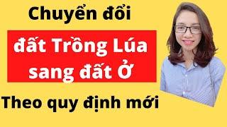 Đầu tư bất động sản 2021: Chuyển đổi đất trồng lúa sang đất ở theo quy định mới 2021