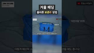 패딩 보관 제대로 하는 방법은? #패션꿀팁