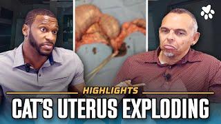 Is My Cat's Uterus Exploding? | Ep 02- Segment 04