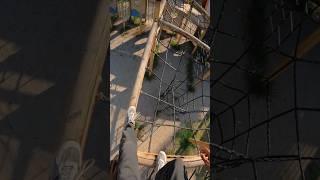 bella Ciao Playground Parkour Climbing Jumping POV #pov #parkour