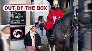 The King's Guard vs. Disrespectful Tourist: ‘Get Out of the Box!’