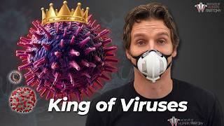 King of the Viruses: What Flu Does to the Body