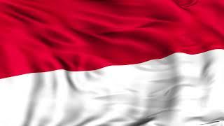 Bendera Indonesia Footage Background