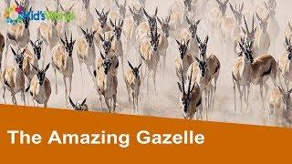 The Amazing Gazelle Full Story, Fairy Tales for Kids