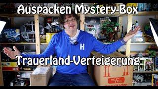 LEGO Mystery-Box auspacken: Die Kiste aus der Trauerland-Versteigerung