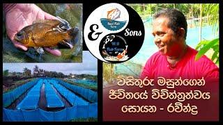 Ravi Fish Farm & Sons WR Fish Farm | 2024-02-17 | Rupavahini Program ( Rataa ) #srilanka