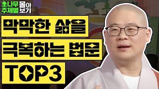 막막한 삶을 극복하는 법문 TOP3  [광우스님 소나무 주제별 몰아보기]