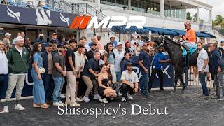 Setting The Pace: Shisospicy's Maiden Special Weight Debut