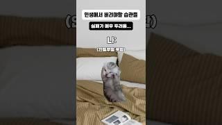 인생에서 버려야할 습관들?? #고양이밈