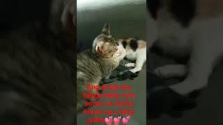 #sweet ninyo magkapatid