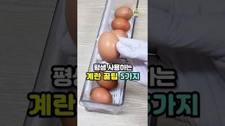 알면 평생 써먹는 계란 꿀팁 5가지 #살림팁 #생활꿀팁 #꿀팁