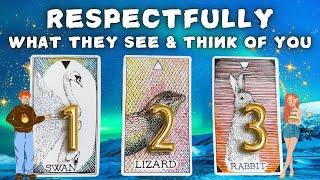 Respectfully What They See & Think About You Pick A CardDetailed Reading 