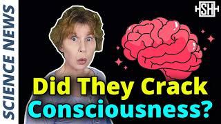 Researchers find major clue to consciousness