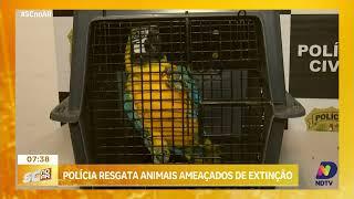 Policia resgata animais ameaçados de extinção em Joinville