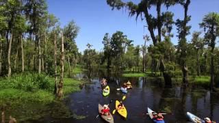 Manchac Magic | Kayak Swamp Tours | New Orleans