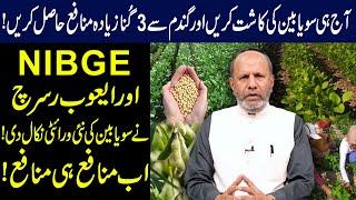 Soybean Planting and its Benefits | Get Huge Profit by Planting Soybean | Dr. Muhammad Arshad