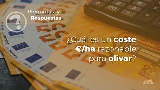 ¿Cuál es un coste €/ha razonable para olivar?